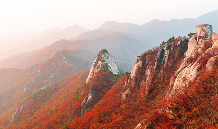ฤดูใบไม้เปลี่ยนสี, เกาหลีใต้ 