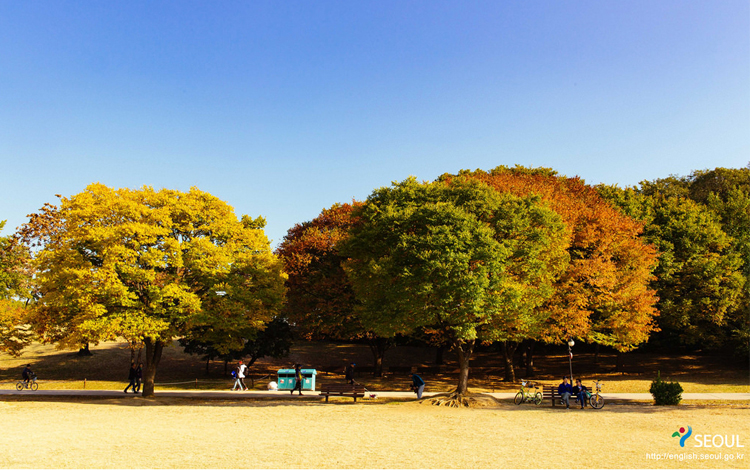 ใบไม้เปลี่ยนสี, โอลิมปิกพาร์ค, เกาหลีใต้