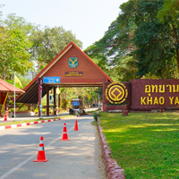 เที่ยวเขาใหญ่ ใกล้กรุงเทพ บรรยากาศดี วิวสวยฟิน!