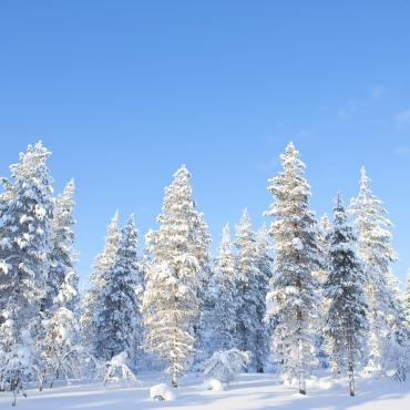 สัมผัสฤดูหนาวแสนวิเศษที่ประเทศฟินแลนด์