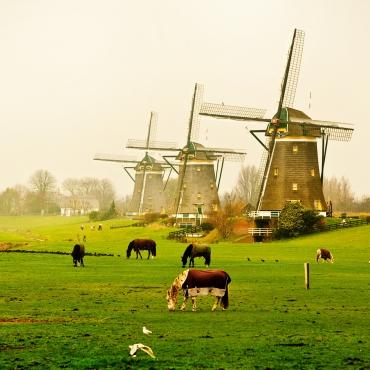 หมู่บ้านอนุรักษ์กังหันลมของเนเธอร์แลนด์
