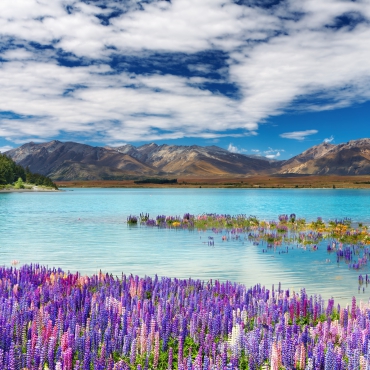 ทะเลสาบที่สวยที่สุดในนิวซีแลนด์