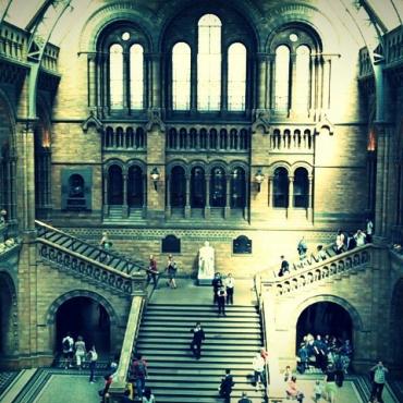 natural history museum london
