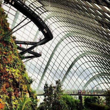 Cloud Forest Conservatories