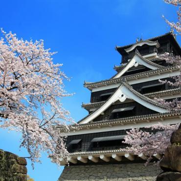 ปราสาทคุมะโมะโตะ Kumamoto Castle