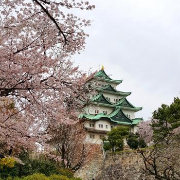 ปราสาทนาโกย่า (Nagoya Castle)