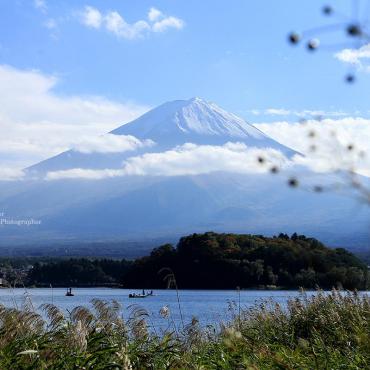โออิชิ ปาร์ค จุดชมวิวภูเขาไฟฟูจิริมทะเลสาบคาวากุจิโกะ
