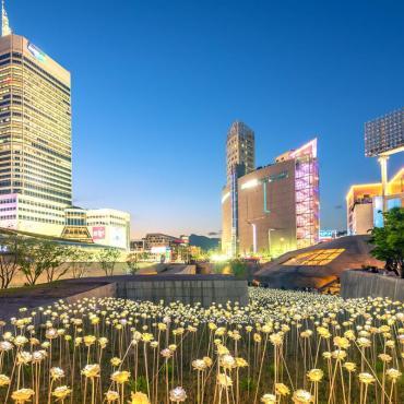LED Rose Garden ที่ Dongdaemun Design Plaza