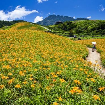 ทุ่งดอกไม้จีนที่อุทยานแห่งชาติหุบเขาตะวันออก