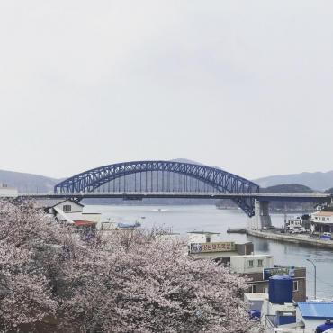 Spring in Tongyeong