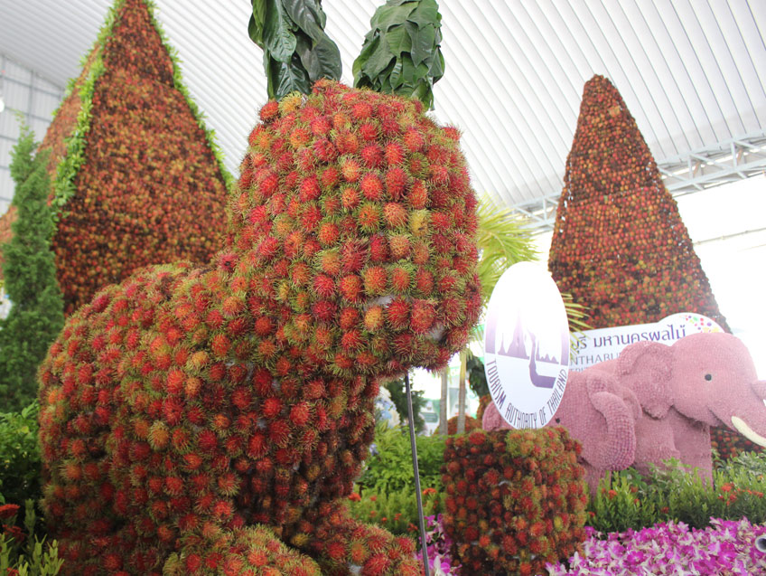 คนรักผลไม้ห้ามพลาด!! 19 – 27 พฤษภาคมนี้ ชวนเที่ยวงาน วิถีจันท์ วิถีไทย ของดีเมืองจันท์วันผลไม้ 2561