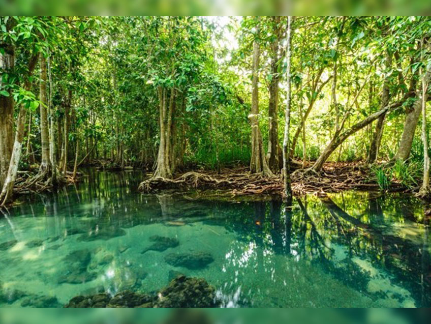 ชวนเที่ยว สระมรกต กระบี่ "ตลับสีเมืองไทย เฉดสีบันดาลใจให้คุณออกไปเดินทาง"