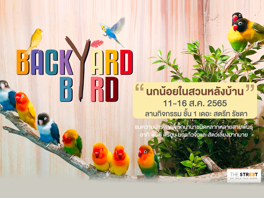 คนรักนกห้ามพลาด! ชวนสัมผัสใกล้ชิดธรรมชาติ กับงาน The Street Backyard Birds ณ ศูนย์การค้าเดอะ สตรีท รัชดา