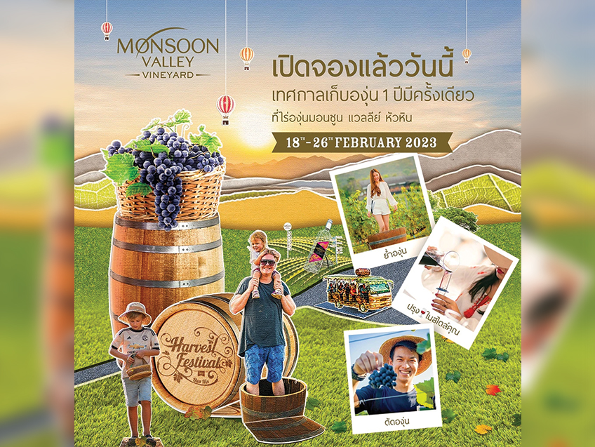 1 ปีมีครั้ง “เทศกาลเก็บเกี่ยวองุ่น” ที่ “มอนซูน แวลลีย์” หัวหิน ไร่องุ่นใหญ่ที่สุดในประเทศไทย