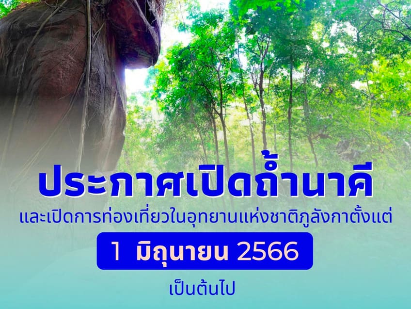 ประกาศเปิดถ้ำนาคี และเปิดการท่องเที่ยวในอุทยานแห่งชาติภูลังกา นับตั้งแต่วันนี้เป็นต้นไป!