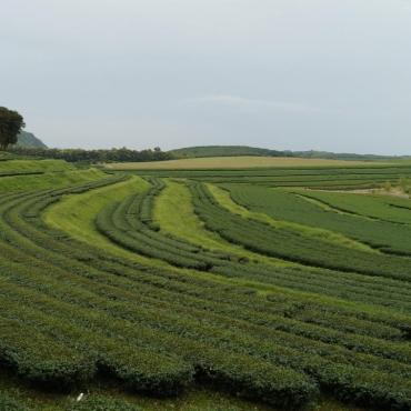 หลงรัก เชียงราย