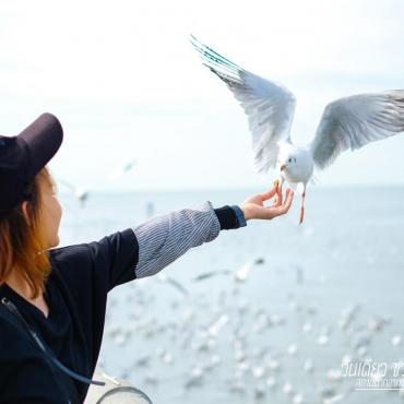 "ทริปวันเดียว ชวนเที่ยวบางปู" นกมากันแล้ว งบ500บาท 2คน + แชร์เทคนิคถ่ายรูปคู่กับนก