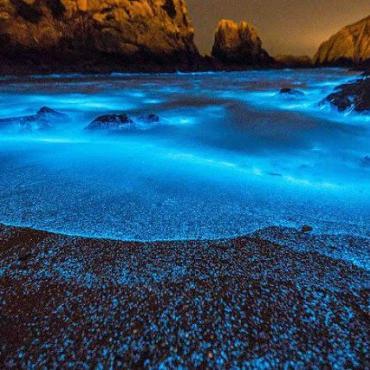 Blue Tears TAIWAN ทะเลเรืองแสงสีฟ้า ที่สุดแห่งความ Amazing : เที่ยวกับติส