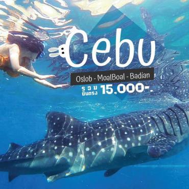 เที่ยว Cebu หาพี่หลามวาฬ