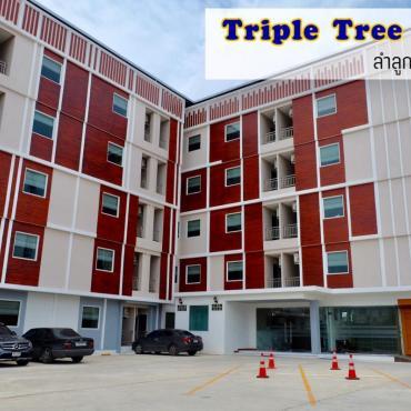 รีวิว “Triple Trees”โรงแรมใกล้สนามบินดอนเมืองราคาไม่เกิน 1000 บาท
