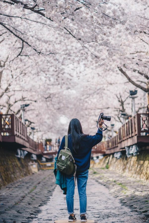 รีวิว เกาหลีสีชมพู [1-6 April 2018] 🌸🌸