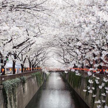 Japan (Narita Kawazu Tokyo)