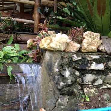 ความสุขของคุณยาย