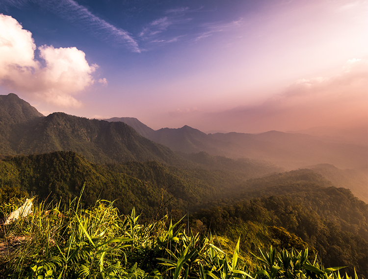 à¸à¸µà¹à¹à¸à¸µà¹à¸¢à¸§à¸«à¸à¹à¸²à¸à¸, à¸­à¸¸à¸à¸¢à¸²à¸à¹à¸«à¹à¸à¸à¸²à¸à¸´à¸ à¸¹à¸ªà¸­à¸¢à¸à¸²à¸§