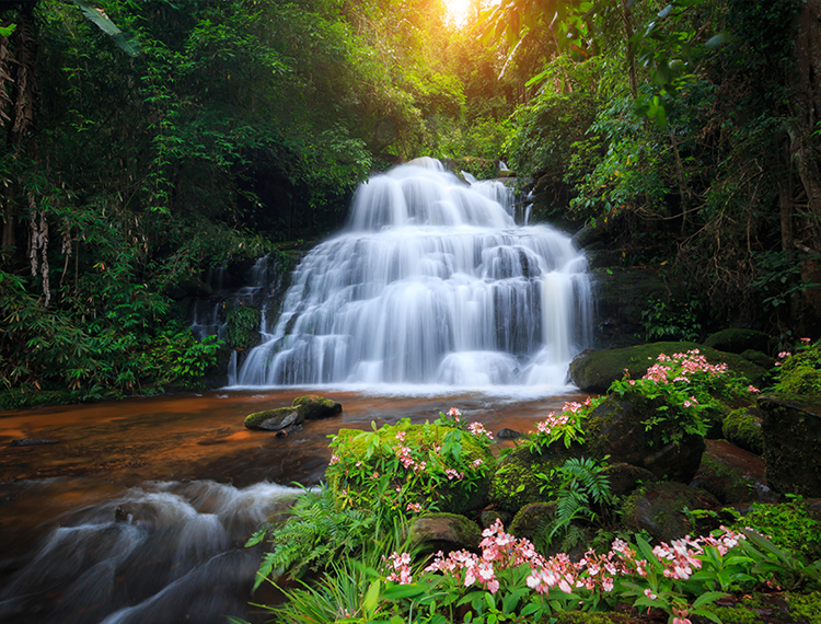 à¸à¸µà¹à¹à¸à¸µà¹à¸¢à¸§à¸«à¸à¹à¸²à¸à¸, à¸­à¸¸à¸à¸¢à¸²à¸à¹à¸«à¹à¸à¸à¸²à¸à¸´à¸ à¸¹à¸«à¸´à¸à¸£à¹à¸­à¸à¸à¸¥à¹à¸²