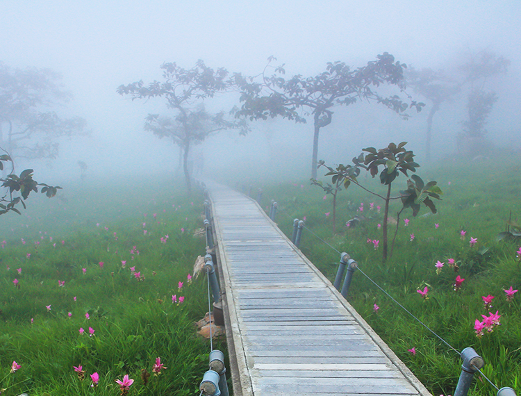 à¸à¸µà¹à¹à¸à¸µà¹à¸¢à¸§à¸«à¸à¹à¸²à¸à¸, à¸­à¸¸à¸à¸¢à¸²à¸à¹à¸«à¹à¸à¸à¸²à¸à¸´à¸à¹à¸²à¸«à¸´à¸à¸à¸²à¸¡