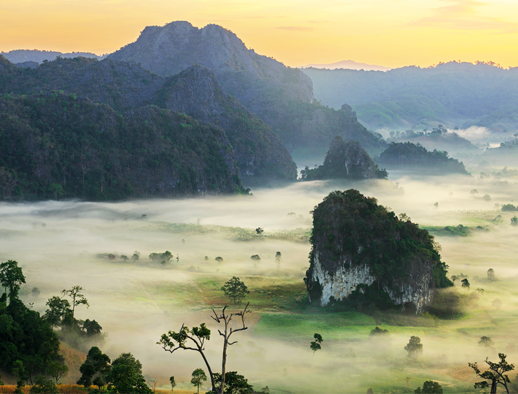 à¸à¸µà¹à¹à¸à¸µà¹à¸¢à¸§à¸«à¸à¹à¸²à¸à¸, à¸§à¸à¸­à¸¸à¸à¸¢à¸²à¸à¸ à¸¹à¸¥à¸±à¸à¸à¸²