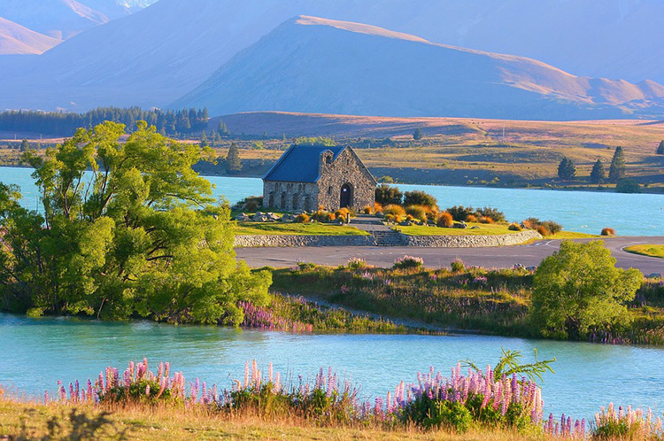 ทะเลสาบเทคาโป (Lake Tekapo) เที่ยวนิวซีแลนด์