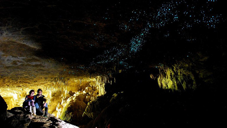 ถ้ำไวโตโมโกลว์วอร์ม (Waitomo Glowworm Caves) เที่ยวนิวซีแลนด์