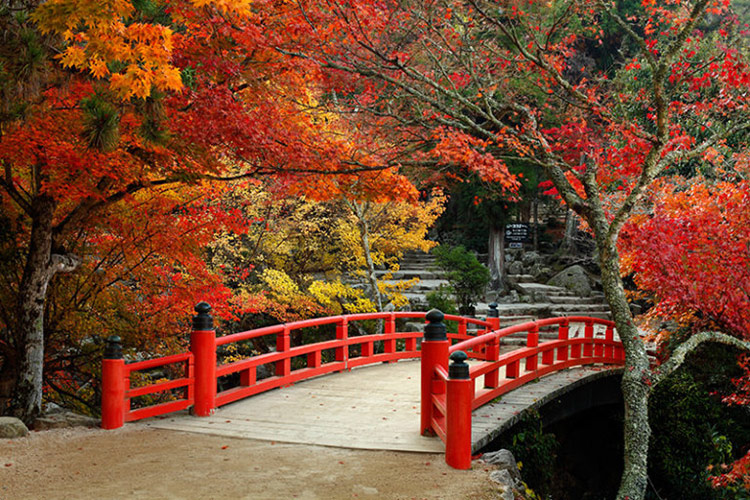 Momijidani Park, Hiroshima คันไซ, ฮิโรชิม่า