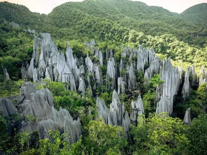 อุทยานแห่งชาติกุนุงมูลู Gunung Mulu National Park