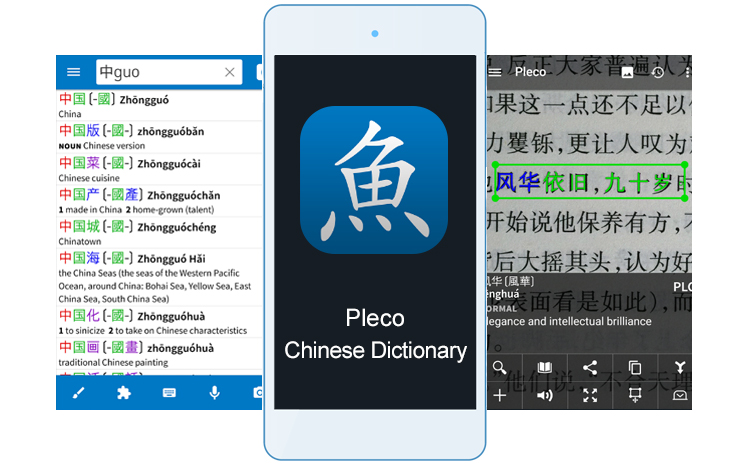 Pleco Chinese Dictionary