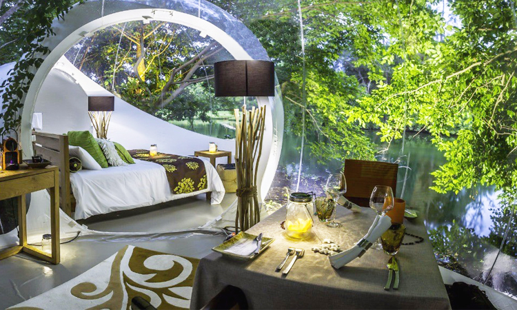 โรงแรมฟองสบู่ Bubble Lodge, Bois Cheri, Mauritius โรงแรมฟองสบู่, bubble hotels, มอริเชียส
