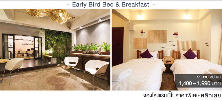 Early Bird Bed & Breakfast ที่พักเชียงใหม่ราคาประหยัด ที่พักเชียงใหม่ราคาถูก