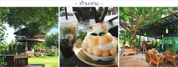 เก๊ามะขาม ร้านค่าเฟ่ในเชียงใหม่ ร้านกาแฟเชียงใหม่, ค่าเฟ่เชียงใหม่