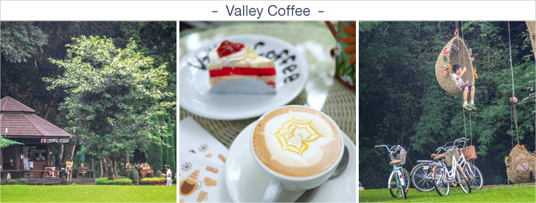 Valley Coffee ร้านค่าเฟ่ในเชียงใหม่ ร้านกาแฟเชียงใหม่, ค่าเฟ่เชียงใหม่