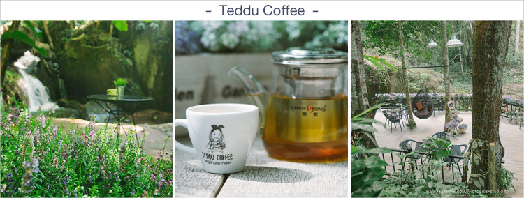 Teddu Coffee ร้านค่าเฟ่ในเชียงใหม่ ร้านกาแฟเชียงใหม่, ค่าเฟ่เชียงใหม่