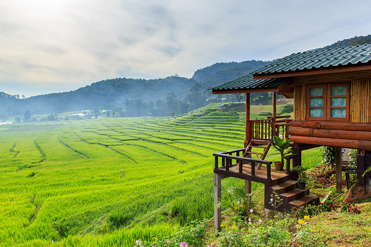 บ้านแม่กลางหลวง, ดอยอินทนนท์