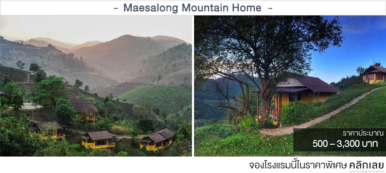 Maesalong Mountain Home ที่พักบนดอยเชียงราย