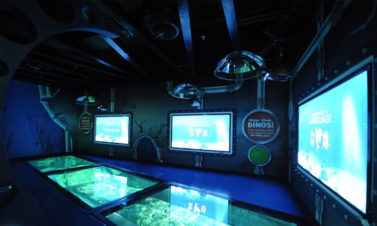 พาเด็กเที่ยวที่ Sea Life Bangkok Ocean World Sea Life Bangkok Ocean World