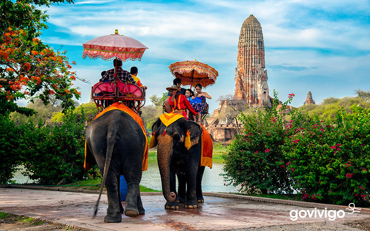 เที่ยววังช้างแลเพนียด ปางช้างอโยธยา ที่เที่ยวอยุธยา, ปางช้าง