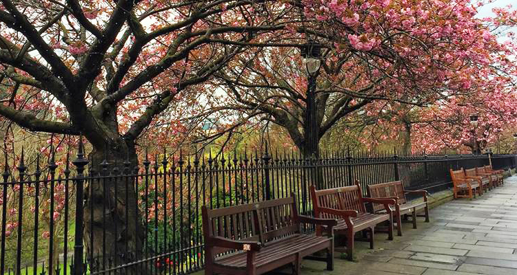 เที่ยวเมืองเอดินบะระ, สกอตแลนด์ edinburgh, scotland