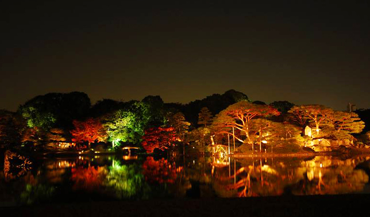 ใบไม้เปลี่ยนสีที่สวนริคุงิเอ็น, โตเกียว ใบไม้เปลี่ยนสี, สวนริคุงิเอ็น, โตเกียว