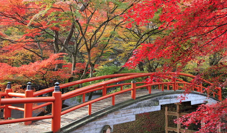 ใบไม้เปลี่ยนสี, สะพานคาจิคะบาชิ, กุนมะ