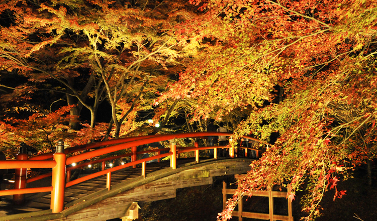 ใบไม้เปลี่ยนสี, สะพานคาจิคะบาชิ, กุนมะ