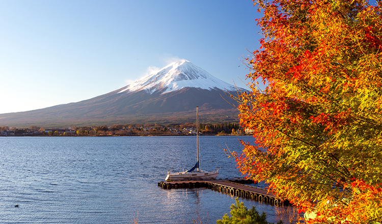 ใบไม้เปลี่ยนสี, ทะเลสาบฟุจิทั้งห้า, ยามานาชิ